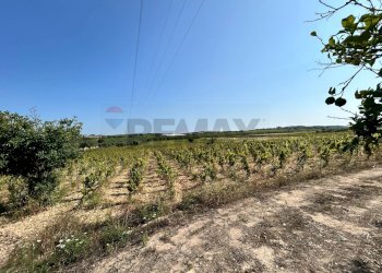 Vista delle montagne - Terreno agricolo Contrada Maccari
 
snc, Noto - foto 2