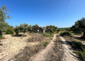 Giardino - Terreno agricolo Contrada Maccari
 
snc, Noto - foto 5