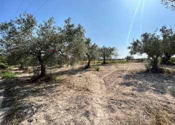 Giardino - Terreno agricolo Contrada Maccari
 
snc, Noto - foto 6