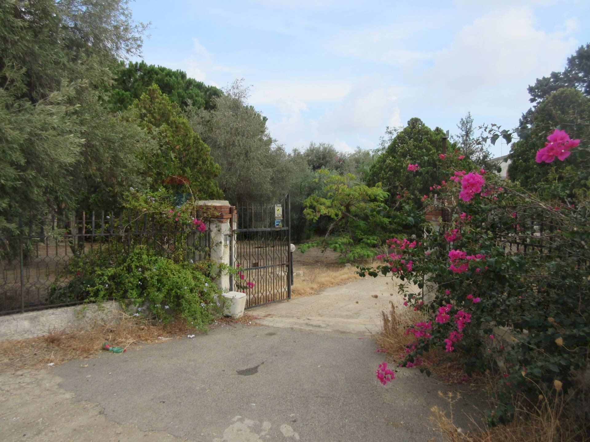 ingresso esterno - Villa Strada benalì
 
59, Siracusa - photo 3