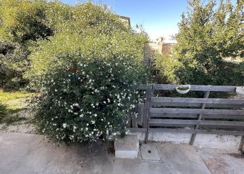 Giardino - Villa VIALE DEI PINI
 
SnC, Pachino - foto 23