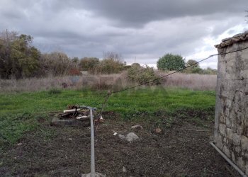 Giardino - Rustico C.da Serrapero / Cava D'Ispica
 
snc, Modica - foto 9