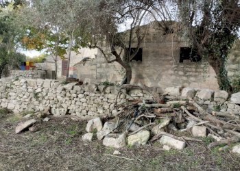 Giardino - Rustico C.da Serrapero / Cava D'Ispica
 
snc, Modica - foto 27