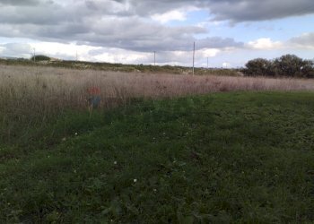 Giardino - Rustico C.da Serrapero / Cava D'Ispica
 
snc, Modica - foto 36