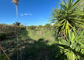 Giardino - Terreno agricolo VIA CAPUANA/SS114
SN, Priolo Gargallo - foto 4