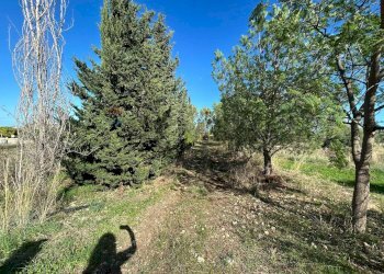 Giardino - Terreno agricolo VIA CAPUANA/SS114
SN, Priolo Gargallo - foto 6