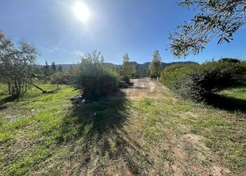 Giardino - Terreno agricolo VIA CAPUANA/SS114
SN, Priolo Gargallo - foto 7