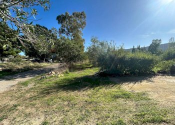 Giardino - Terreno agricolo VIA CAPUANA/SS114
SN, Priolo Gargallo - foto 10