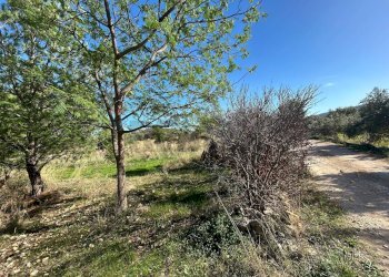 Giardino - Terreno agricolo VIA CAPUANA/SS114
SN, Priolo Gargallo - foto 12