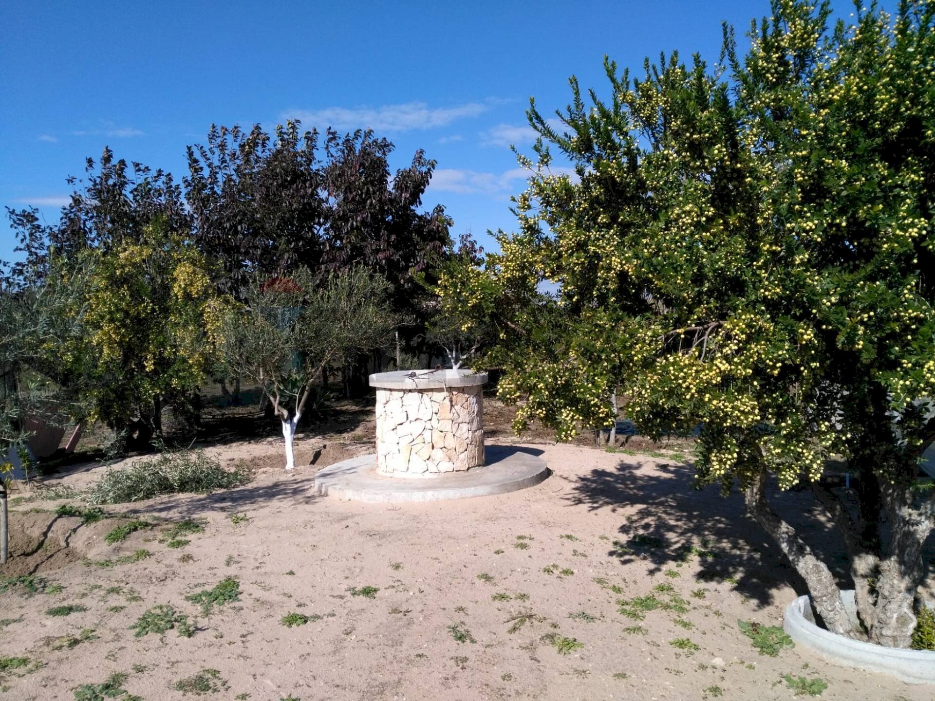 Giardino - Terreno agricolo Punto Rio, Portopalo di Capo Passero - foto 2