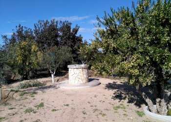 Giardino - Terreno agricolo Punto Rio, Portopalo di Capo Passero - foto 2