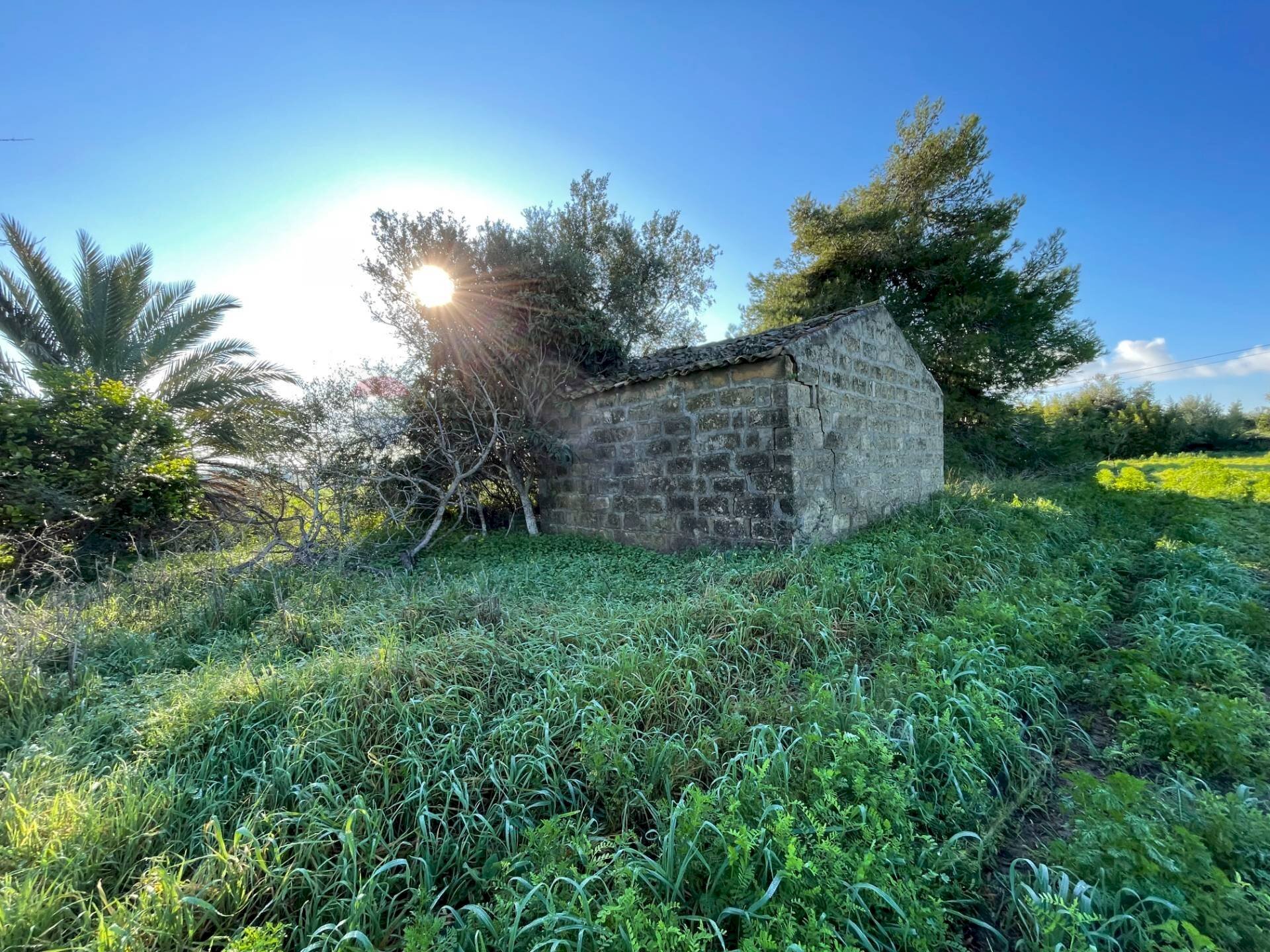 Giardino - Terreno agricolo Contrada Buonivini
 
snc, Noto - foto 1