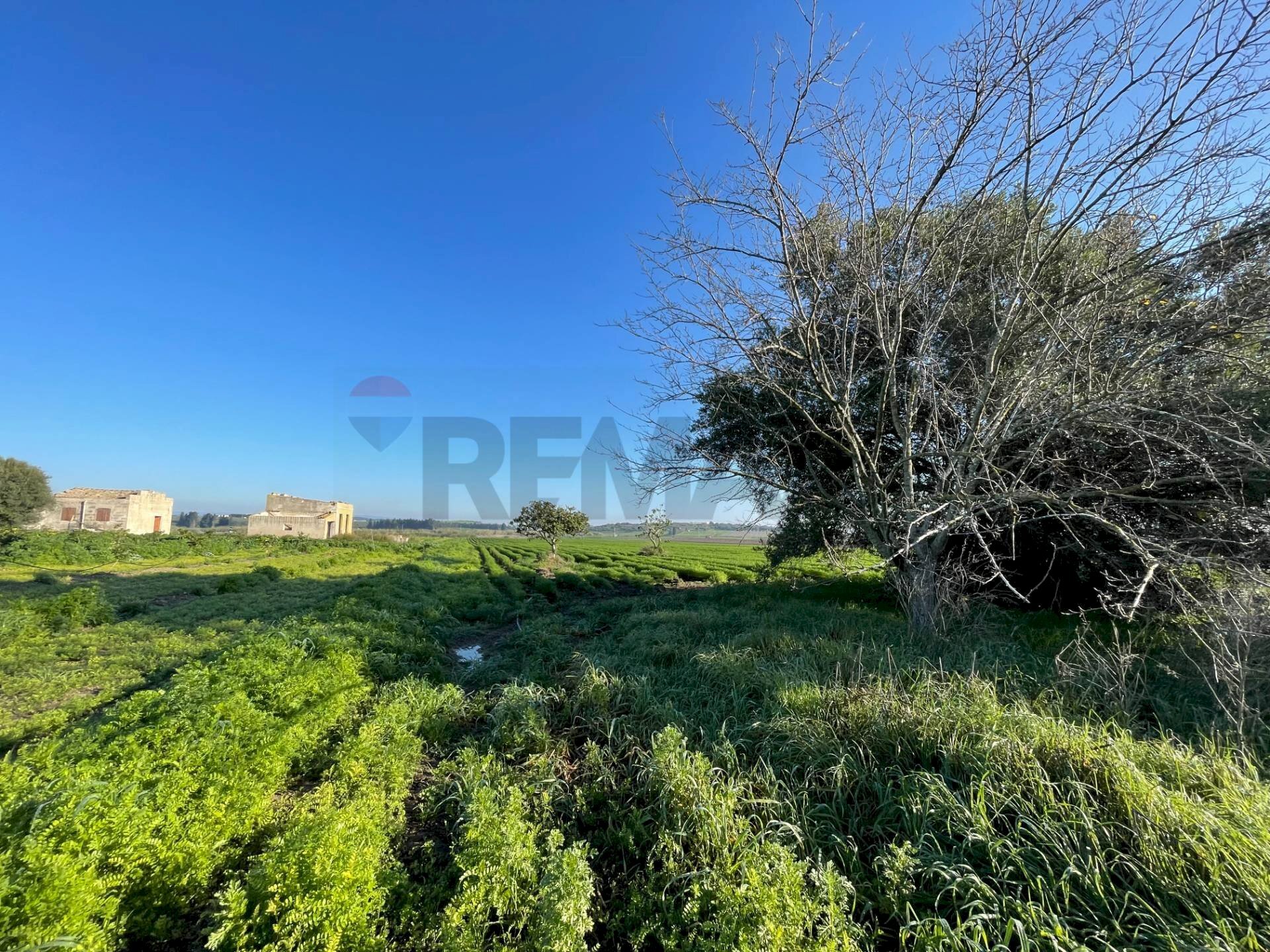 Giardino - Terreno agricolo Contrada Buonivini
 
snc, Noto - foto 3