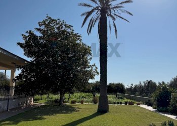 Giardino - Villa Via Roma, Marina di Modica, Modica - foto 6