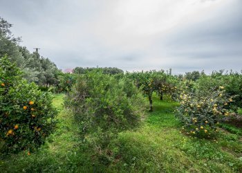 Giardino - Villa Via Roma, Marina di Modica, Modica - foto 30