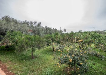 Giardino - Villa Via Roma, Marina di Modica, Modica - foto 31