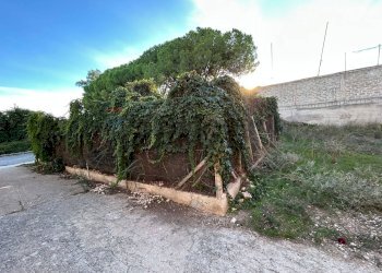 Giardino - Terreno edificabile Contrada Pianetti, Pachino - foto 5