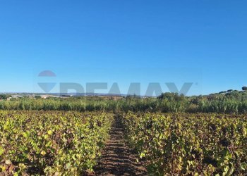 Vista delle montagne - Terreno agricolo Contrada Buonivini
 
snc, Noto - foto 1