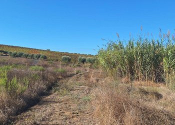 Vista delle montagne - Terreno agricolo Contrada Buonivini
 
snc, Noto - foto 8