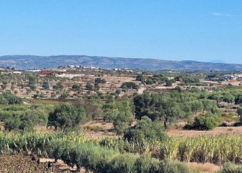 Vista delle montagne - Terreno agricolo Contrada Buonivini
 
snc, Noto - foto 10