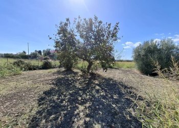 Giardino - Villa Contrada Margi, Augusta - foto 9