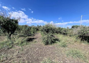 Vista delle montagne - Villa Contrada Margi, Augusta - foto 16