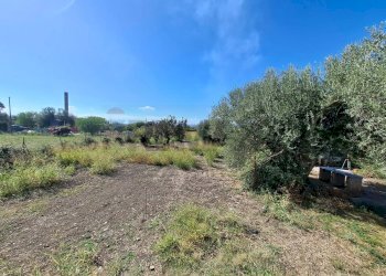 Giardino - Villa Contrada Margi, Augusta - foto 20