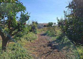 Giardino - Villa Contrada Margi, Augusta - foto 21