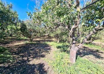 Giardino - Villa Contrada Margi, Augusta - foto 23