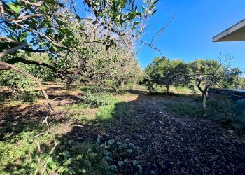 Giardino - Villa Contrada Margi, Augusta - foto 24