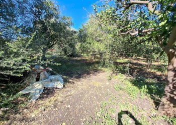 Giardino - Villa Contrada Margi, Augusta - foto 25