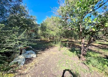 Giardino - Villa Contrada Margi, Augusta - foto 26