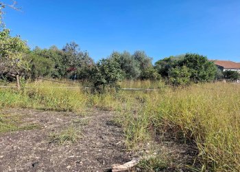 Giardino - Villa Contrada Margi, Augusta - foto 27