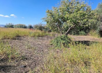 Giardino - Villa Contrada Margi, Augusta - foto 28