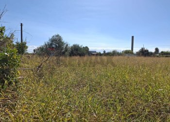 Giardino - Villa Contrada Margi, Augusta - foto 29