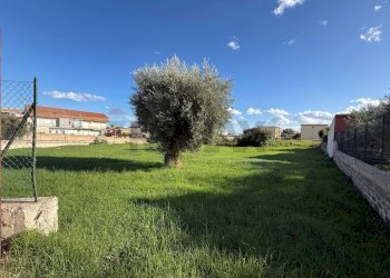 Giardino - Terreno edificabile via Santo Sebastiano, Priolo Gargallo - foto 6