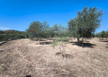 Giardino - Villa strada provinciale 80, Noto - foto 7