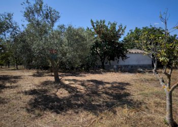 Giardino - Villa strada provinciale 80, Noto - foto 16