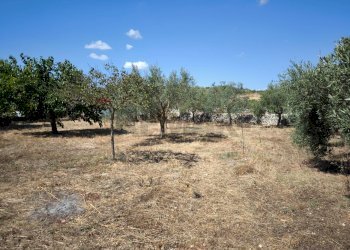 Giardino - Villa strada provinciale 80, Noto - foto 17