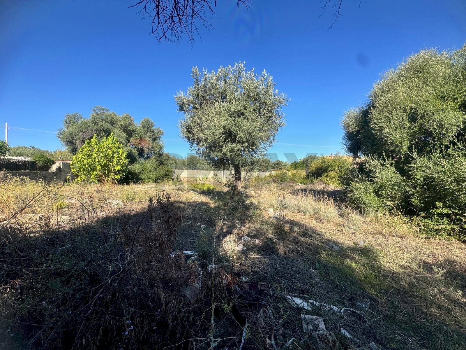 Giardino - Terreno edificabile Via Brancati
snc, Melilli - foto 3