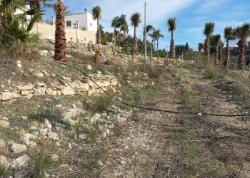 Non correlato - Villa contrada donnagona, Chiaramonte Gulfi - foto 4