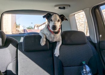 Non correlato - Villa contrada donnagona, Chiaramonte Gulfi - foto 66