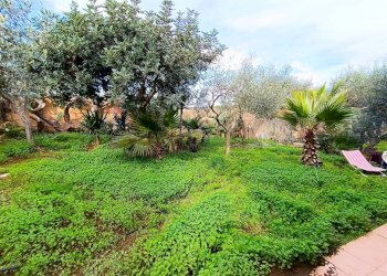 Giardino - Villa S. Lorenzo Strada V
 
35, Noto - foto 10