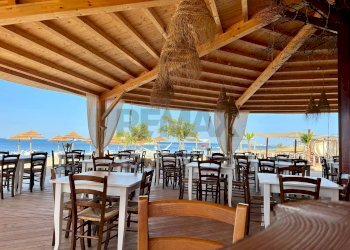 Terrazza - Commercial Premises Pachino - photo 15