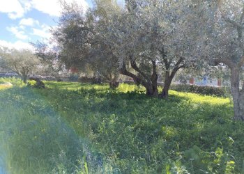 Giardino - Casa indipendente via Vanella 43, Modica - foto 11