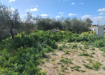 Giardino - Casa indipendente via Vanella 43, Modica - foto 16