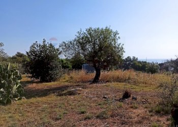 Giardino - Building land VIA GIOVANNI PASCOLI
 
4, Melilli - photo 3