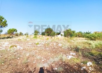 Giardino - Building land VIA GIOVANNI PASCOLI
 
4, Melilli - photo 4