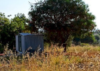 Giardino - Building land VIA GIOVANNI PASCOLI
 
4, Melilli - photo 6