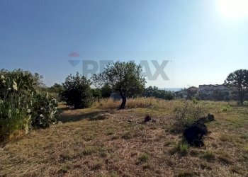 Giardino - Building land VIA GIOVANNI PASCOLI
 
4, Melilli - photo 7